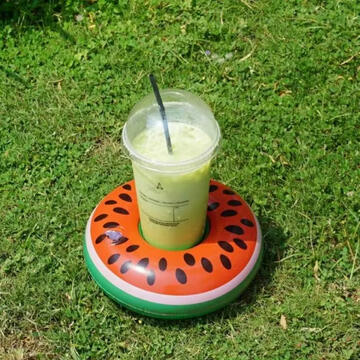 Mini Float Watermelon